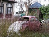 Schrebergarten-Stilleben mit VW-K�fer