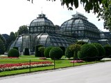 Palmenhaus
